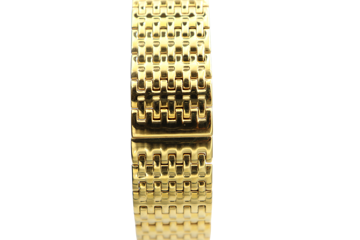 Stainless Steel Men's Gold Watch - S12473M-2 — Spectrum